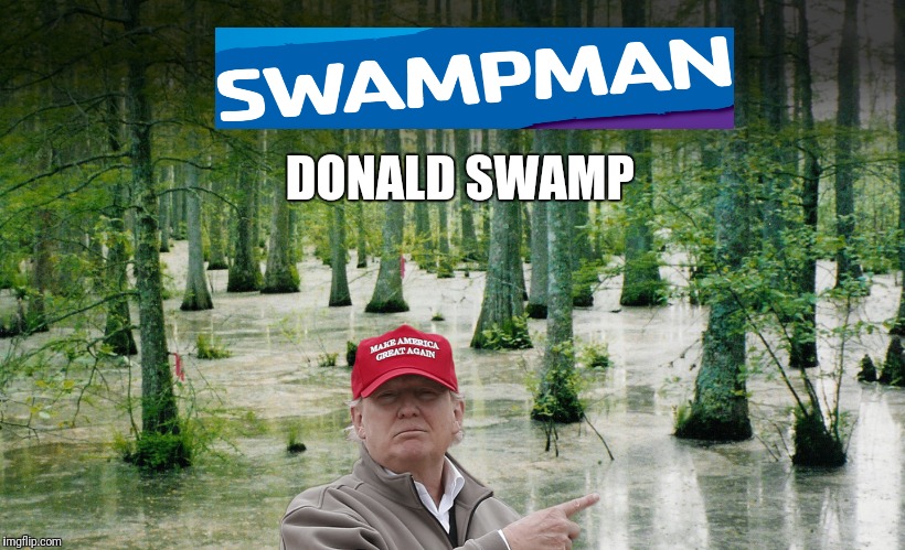 DONALD SWAMP | image tagged in donald trump | made w/ Imgflip meme maker