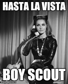 Catwoman calling | HASTA LA VISTA BOY SCOUT | image tagged in catwoman calling | made w/ Imgflip meme maker