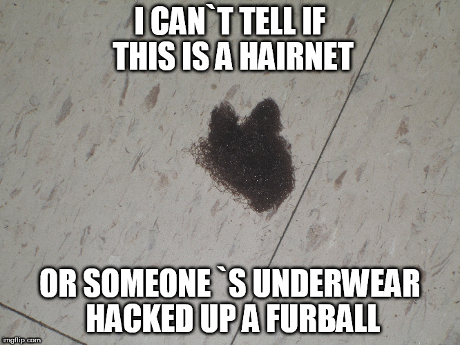 I CAN`T TELL IF THIS IS A HAIRNET; OR SOMEONE `S UNDERWEAR HACKED UP A FURBALL | image tagged in furball | made w/ Imgflip meme maker