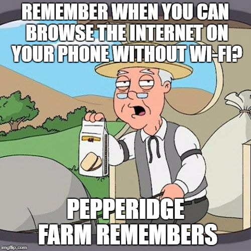 Pepperidge Farm Remembers Meme | REMEMBER WHEN YOU CAN BROWSE THE INTERNET ON YOUR PHONE WITHOUT WI-FI? PEPPERIDGE FARM REMEMBERS | image tagged in memes,pepperidge farm remembers | made w/ Imgflip meme maker