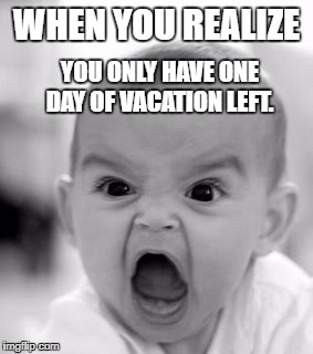 Angry Baby Meme | WHEN YOU REALIZE; YOU ONLY HAVE ONE DAY OF VACATION LEFT. | image tagged in memes,angry baby | made w/ Imgflip meme maker