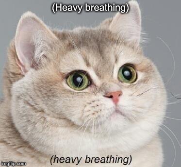Heavy Breathing Cat | (Heavy breathing) | image tagged in memes,heavy breathing cat | made w/ Imgflip meme maker