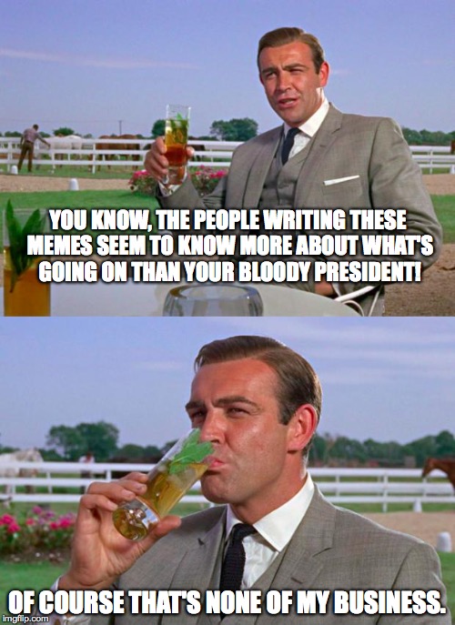 That's none of my bloody business | YOU KNOW, THE PEOPLE WRITING THESE MEMES SEEM TO KNOW MORE ABOUT WHAT'S GOING ON THAN YOUR BLOODY PRESIDENT! OF COURSE THAT'S NONE OF MY BUS | image tagged in memes,but that's none of my business,kermit,libtards,sean connery,james bond | made w/ Imgflip meme maker