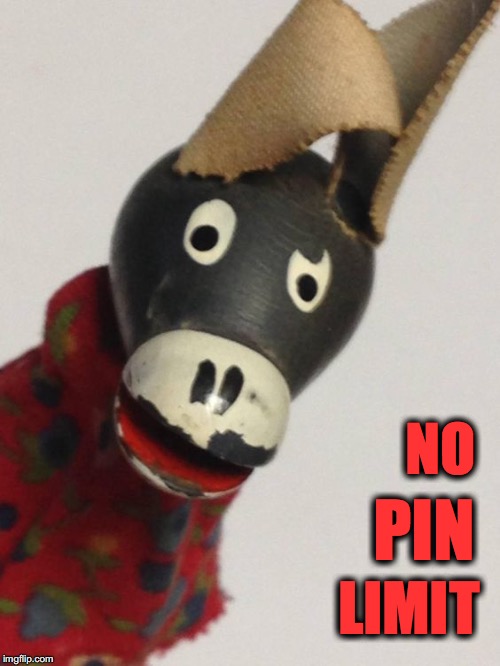 NO; PIN; LIMIT | made w/ Imgflip meme maker