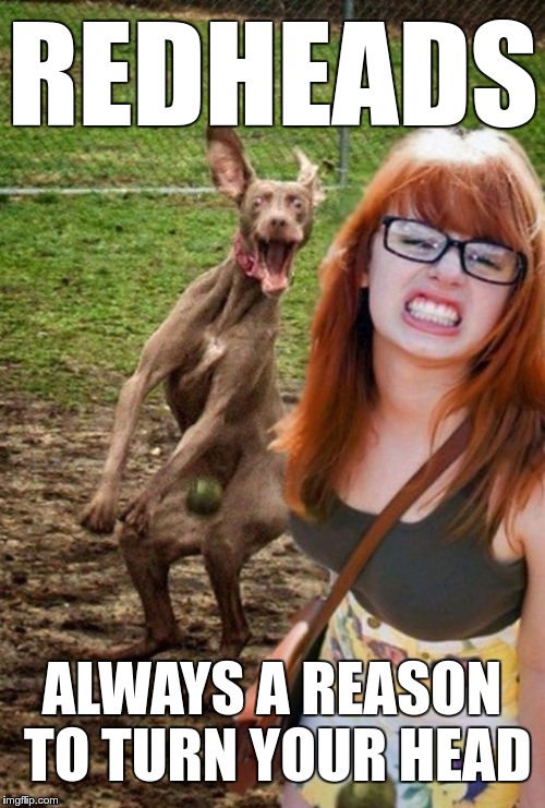 REDHEADS ALWAYS A REASON TO TURN YOUR HEAD | made w/ Imgflip meme maker