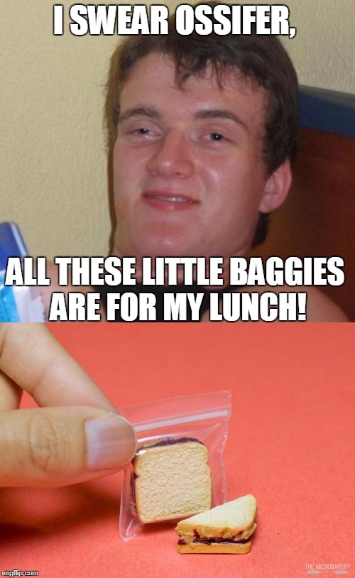 He should have said that the baggies are for his jewelry when traveling. I actually heard somebody tell an officer that.   | I SWEAR OSSIFER, ALL THESE LITTLE BAGGIES ARE FOR MY LUNCH! | image tagged in 10 guy,paraphernalia,drugs,weed,memes | made w/ Imgflip meme maker
