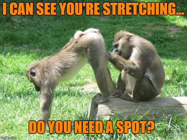 Ass spot | I CAN SEE YOU'RE STRETCHING... DO YOU NEED A SPOT? | image tagged in monkeyass,stretching,gym memes,funny memes,yoga pants week | made w/ Imgflip meme maker