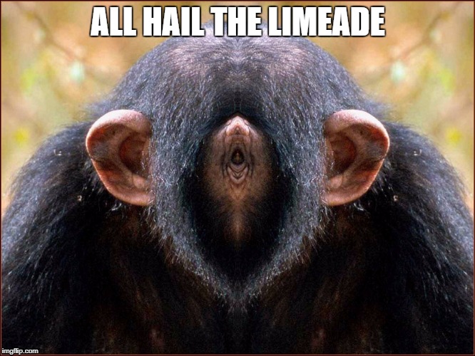 ALL HAIL THE LIMEADE | ALL HAIL THE LIMEADE | image tagged in limeade,monkey,ass,face,wtf,unitinu | made w/ Imgflip meme maker