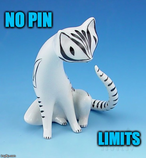 NO PIN; LIMITS | made w/ Imgflip meme maker