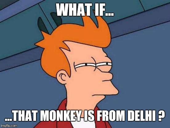 Futurama Fry Meme | WHAT IF... ...THAT MONKEY IS FROM DELHI ? | image tagged in memes,futurama fry | made w/ Imgflip meme maker