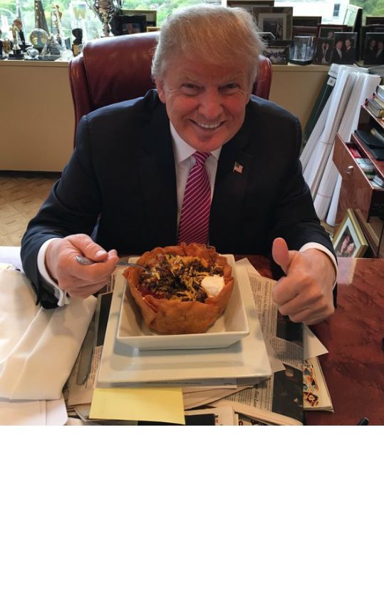 High Quality Trump taco bowl Blank Meme Template