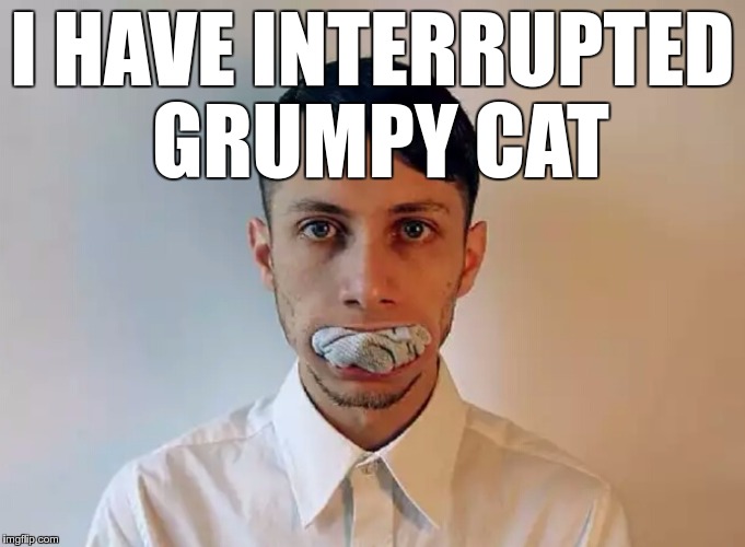 I HAVE INTERRUPTED GRUMPY CAT | image tagged in oral sock-ing | made w/ Imgflip meme maker