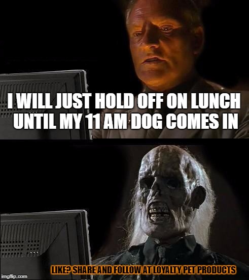 I'll Just Wait Here Meme | I WILL JUST HOLD OFF ON LUNCH UNTIL MY 11 AM DOG COMES IN; LIKE? SHARE AND FOLLOW AT LOYALTY PET PRODUCTS | image tagged in memes,ill just wait here | made w/ Imgflip meme maker
