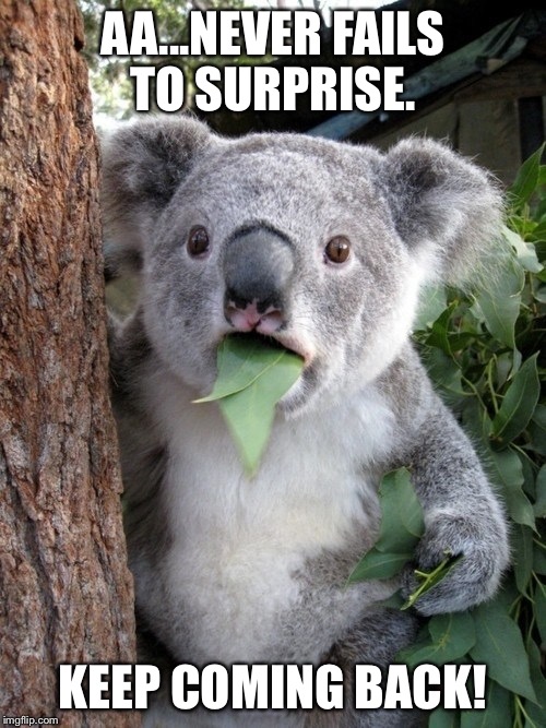 Surprised Koala Meme | AA...NEVER FAILS TO SURPRISE. KEEP COMING BACK! | image tagged in memes,surprised coala | made w/ Imgflip meme maker