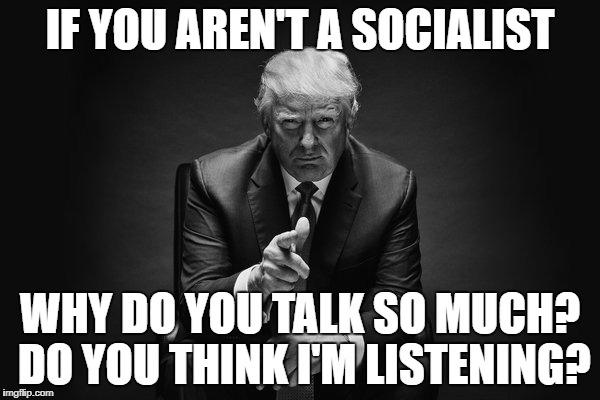 Donald Trump Thug Life | IF YOU AREN'T A SOCIALIST; WHY DO YOU TALK SO MUCH? DO YOU THINK I'M LISTENING? | image tagged in donald trump thug life | made w/ Imgflip meme maker