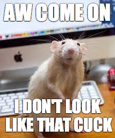 Beady eyes | AW COME ON; I DON'T LOOK LIKE THAT CUCK | image tagged in memes | made w/ Imgflip meme maker