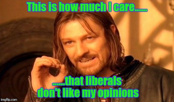 One Does Not Simply Meme | This is how much I care...... ......that liberals don't like my opinions | image tagged in memes,one does not simply | made w/ Imgflip meme maker