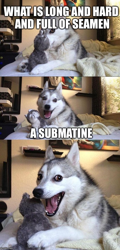 Bad Pun Dog | WHAT IS LONG AND HARD AND FULL OF SEAMEN; A SUBMATINE | image tagged in memes,bad pun dog | made w/ Imgflip meme maker