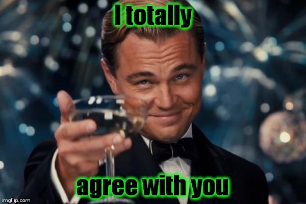 Leonardo Dicaprio Cheers Meme | I totally agree with you | image tagged in memes,leonardo dicaprio cheers | made w/ Imgflip meme maker