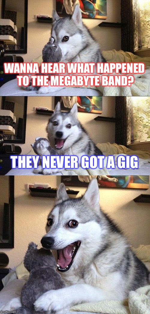 Bad Pun Dog | WANNA HEAR WHAT HAPPENED TO THE MEGABYTE BAND? THEY NEVER GOT A GIG | image tagged in memes,bad pun dog | made w/ Imgflip meme maker