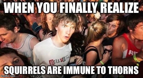 Sudden Clarity Clarence | WHEN YOU FINALLY REALIZE; SQUIRRELS ARE IMMUNE TO THORNS | image tagged in memes,sudden clarity clarence | made w/ Imgflip meme maker