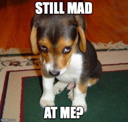 sorry | STILL MAD; AT ME? | image tagged in sorry | made w/ Imgflip meme maker