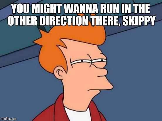 Futurama Fry Meme | YOU MIGHT WANNA RUN IN THE OTHER DIRECTION THERE, SKIPPY | image tagged in memes,futurama fry | made w/ Imgflip meme maker
