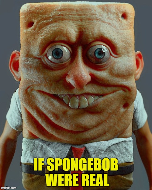 IF SPONGEBOB WERE REAL | image tagged in spongbob | made w/ Imgflip meme maker