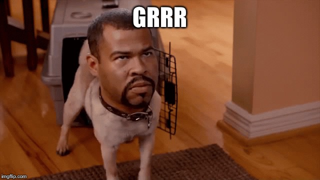 Noice | GRRR | image tagged in noice | made w/ Imgflip meme maker
