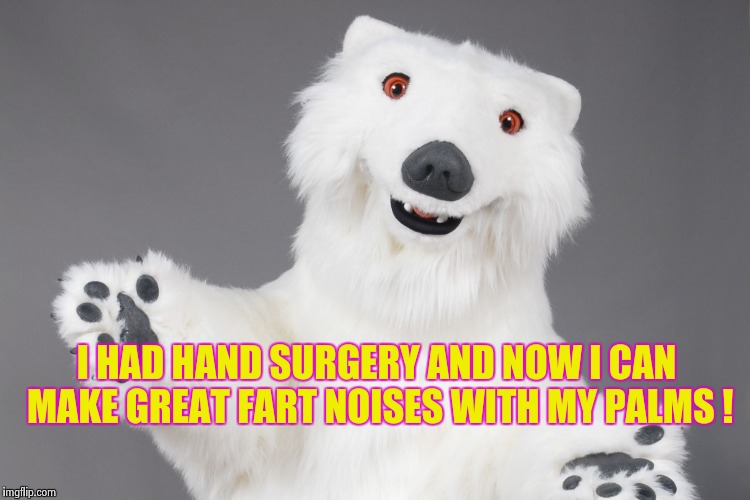 Polar Bear | I HAD HAND SURGERY AND NOW I CAN MAKE GREAT FART NOISES WITH MY PALMS ! | image tagged in polar bear | made w/ Imgflip meme maker