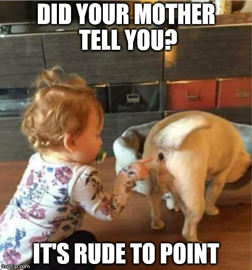 Giving someone the finger? | DID YOUR MOTHER TELL YOU? IT'S RUDE TO POINT | image tagged in memes,child,dog | made w/ Imgflip meme maker