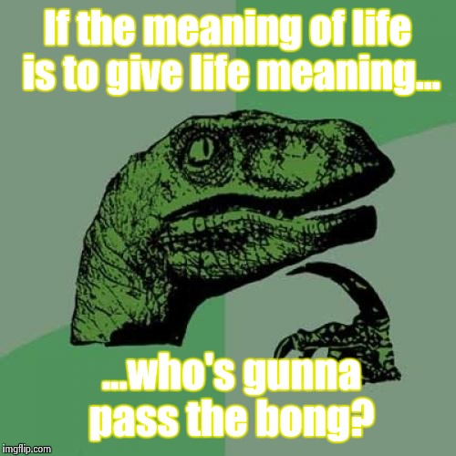 Philosoraptor | If the meaning of life is to give life meaning... ...who's gunna pass the bong? | image tagged in memes,philosoraptor | made w/ Imgflip meme maker