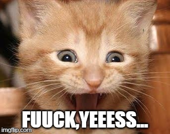 Excited Cat Meme | FUUCK,YEEESS... | image tagged in memes,excited cat | made w/ Imgflip meme maker