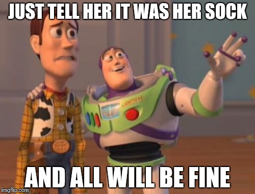 X, X Everywhere Meme | JUST TELL HER IT WAS HER SOCK AND ALL WILL BE FINE | image tagged in memes,x x everywhere | made w/ Imgflip meme maker