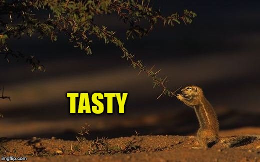 TASTY | made w/ Imgflip meme maker