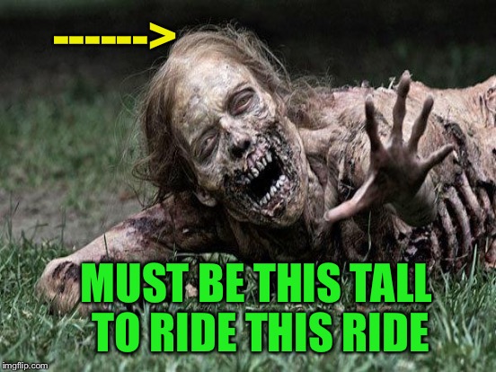 ------> MUST BE THIS TALL TO RIDE THIS RIDE | made w/ Imgflip meme maker