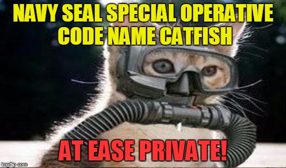 NAVY SEAL SPECIAL OPERATIVE CODE NAME CATFISH AT EASE PRIVATE! | made w/ Imgflip meme maker