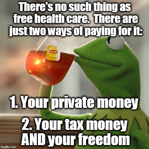 But That's None Of My Business Meme | There's no such thing as free health care.  There are just two ways of paying for it:; 1. Your private money; 2. Your tax money AND your freedom | image tagged in memes,but thats none of my business,kermit the frog,socialism,healthcare,obamacare | made w/ Imgflip meme maker