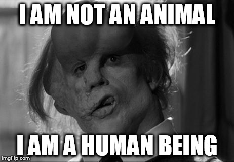 I AM NOT AN ANIMAL; I AM A HUMAN BEING | image tagged in john merrick | made w/ Imgflip meme maker