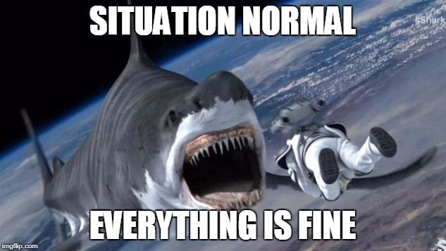 Situation Normal | SITUATION NORMAL; EVERYTHING IS FINE | image tagged in shark | made w/ Imgflip meme maker