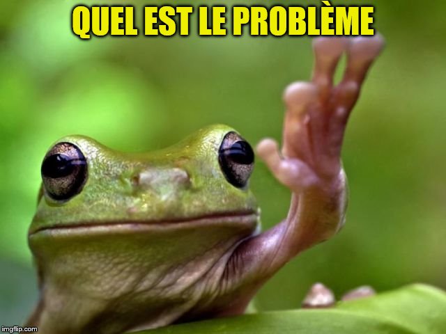 QUEL EST LE PROBLÈME | made w/ Imgflip meme maker