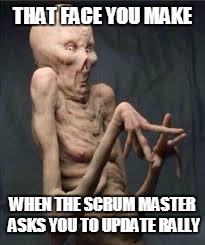 THAT FACE YOU MAKE; WHEN THE SCRUM MASTER ASKS YOU TO UPDATE RALLY | image tagged in memes | made w/ Imgflip meme maker