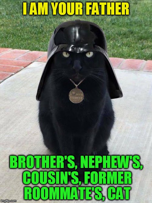 I AM YOUR FATHER; BROTHER'S, NEPHEW'S, COUSIN'S, FORMER ROOMMATE'S, CAT | made w/ Imgflip meme maker