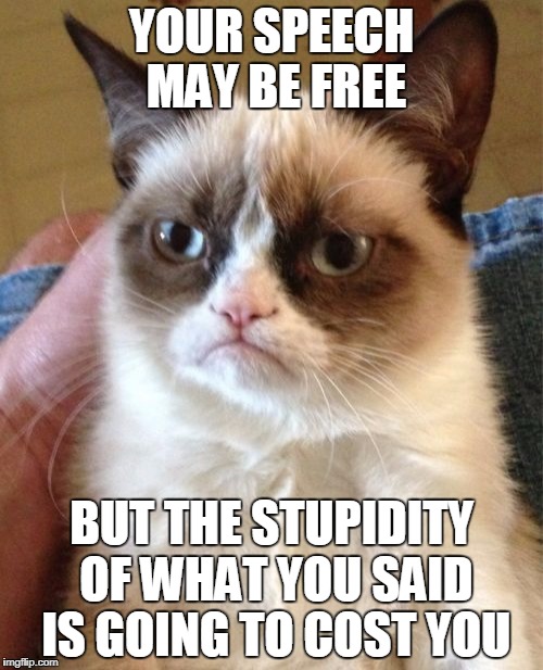 Grumpy Cat | YOUR SPEECH MAY BE FREE; BUT THE STUPIDITY OF WHAT YOU SAID IS GOING TO COST YOU | image tagged in memes,grumpy cat | made w/ Imgflip meme maker