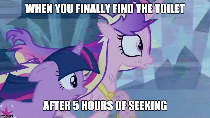 shocked ponies | WHEN YOU FINALLY FIND THE TOILET; AFTER 5 HOURS OF SEEKING | image tagged in shocked ponies | made w/ Imgflip meme maker