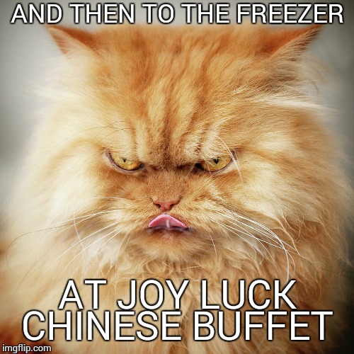 pissed pussy | AND THEN TO THE FREEZER AT JOY LUCK CHINESE BUFFET | image tagged in pissed pussy | made w/ Imgflip meme maker