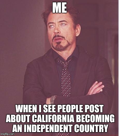 Face You Make Robert Downey Jr Meme | ME; WHEN I SEE PEOPLE POST ABOUT CALIFORNIA BECOMING AN INDEPENDENT COUNTRY | image tagged in memes,face you make robert downey jr | made w/ Imgflip meme maker