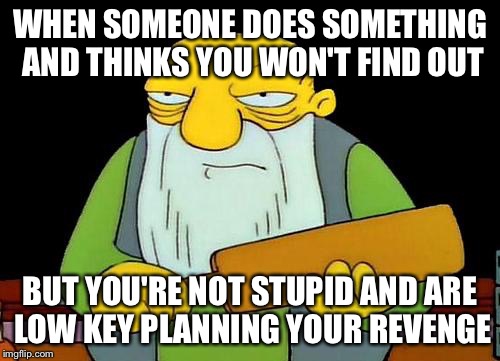 That's a paddlin' | WHEN SOMEONE DOES SOMETHING AND THINKS YOU WON'T FIND OUT; BUT YOU'RE NOT STUPID AND ARE LOW KEY PLANNING YOUR REVENGE | image tagged in memes,that's a paddlin' | made w/ Imgflip meme maker