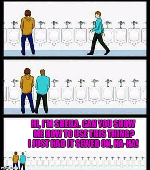 Would you do it? Would you? Huh? | HI, I'M SHEILA. CAN YOU SHOW ME HOW TO USE THIS THING? I JUST HAD IT SEWED ON, HA-HA! | image tagged in urinal guy more text room,transgender,transformers,transgender bathroom | made w/ Imgflip meme maker
