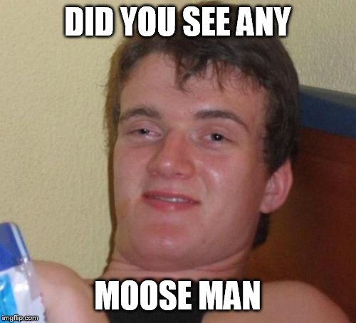 10 Guy Meme | DID YOU SEE ANY MOOSE MAN | image tagged in memes,10 guy | made w/ Imgflip meme maker